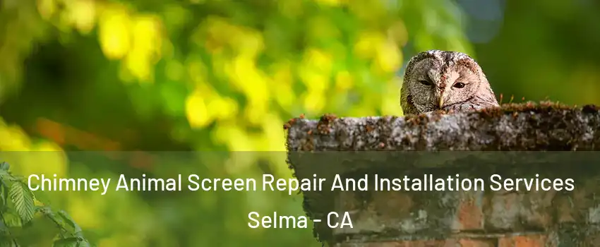  Chimney Animal Screen Repair And Installation Services Selma - CA