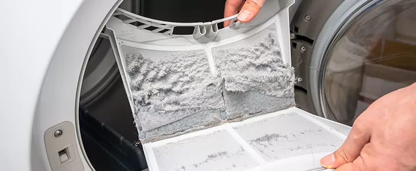 Best Dryer Lint Removal Company in Selma, California
