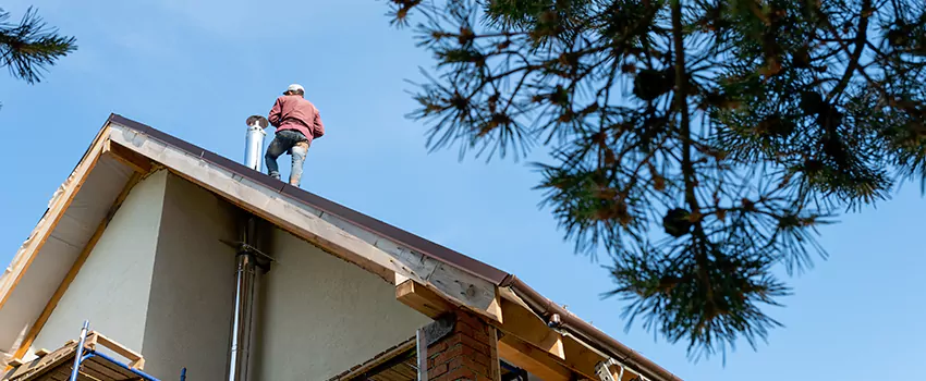 Birds Removal Contractors from Chimney in Selma, CA